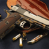 Case Colored Combat Carry