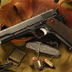 United States Property Colt